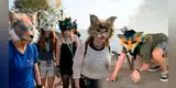 Therians: la tendencia de jóvenes que se creen animales y aúllan en plazas de Latinoamérica
