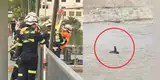 Revelan video inédito del MOMENTO EXACTO en que el rescatista ingresó al río Rímac para salvar a perrito