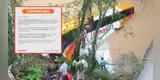 Movil Bus se pronuncia tras caída de ómnibus al río con 50 pasajeros en San Martín: "Expresamos nuestra..."