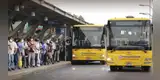 Confirmado | Estas 3 rutas de alimentadores del Metropolitano SUBEN el pasaje a S/3,50 desde esta FECHA