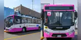 Presentan nueva flota del CORREDOR ROSADO: conoce la ruta que conecta Lima y Callao y el inicio de sus operaciones