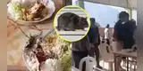INDIGNACIÓN TOTAL | Turistas denuncian que les sirvieron rata en lugar de cuy: clientes salen despavoridos