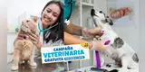 ¡Atención GRATIS para mascotas! CAMPAÑA VETERINARIA este 16 de mayo: conoce dónde será y los servicios disponibles