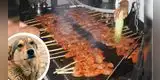 Niña encuentra chip de mascotas cuando comía anticuchos en la calle: "Cuida a tus mascotas"