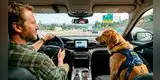 Alerta conductores | Pasear en carro con tu perro en Florida podría derivar en una multa: Estas son las complicadas situaciones