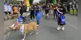 Caminata Solidaria Huellas 4K busca alcanzar 1000 esterilizaciones para perros y gatos en situación de abandono