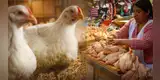 ¿Peligra el consumo de pollo? Senasa declara EMERGENCIA SANITARIA por influenza aviar y anuncia duras prohibiciones