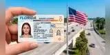 Atención conductores en Florida | Este es el SIGNIFICADO REAL del sello 'NC' en las licencias y cómo podría afectarte