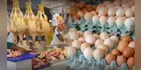 Gripe aviar en Perú: ¿Es seguro comer pollo y huevos tras alerta de Senasa? Minsa aclara dudas tras emergencia sanitaria