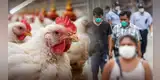 ¿La gripe aviar se CONTAGIA entre humanos? Esto dice el Centro de Epidemiología del Perú ante ALERTA SANITARIA del Senasa