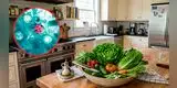 Brote de Cyclospora en EE.UU.: Autoridades revelan POSIBLE ALIMENTO que sería la FUENTE DE CONTAGIO