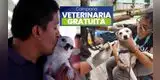 Campaña VETERINARIA GRATIS para perros y gatos: CONOCE dónde atenderán a tu MASCOTA este 20 de agosto