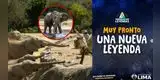 ¡DESPUÉS DE 25 AÑOS, VUELVEN LOS GIGANTES! Parque de las Leyendas prepara la llegada de DOS ENORMES ELEFANTES