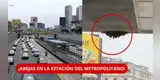 ¡ALERTA EN EL METROPOLITANO! Enjambre de ABEJAS obliga a CERRAR estación | ¿Qué pasó con los pasajeros?