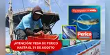 ¡INDIGNANTE! Venden PERICO pese a la VEDA en Pucusana y DENUNCIAN AUSENCIA de fiscalizadores