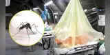 ALERTA SANITARIA | Minsa reporta más de 3.000 contagios de DENGUE en Lima: conoce los distritos en mayor riesgo