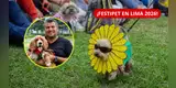 ¡ATENCIÓN, AMANTES DE LOS ANIMALES! FestiPet llega a Lima con servicios veterinarios GRATIS este 27 de septiembre | CONOCE MÁS