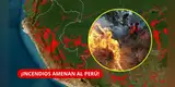 ¡ALERTA ROJA EN PERÚ! 9 regiones están en RIESGO por INCENDIOS y Puno ya reporta más de 50 alpacas muertas, según Senamhi