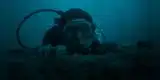 "La caída de la ballena" lanzan nuevo tráiler de thriller de supervivencia