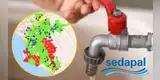 ¡A SACAR LOS BALDES! Sedapal confirma CORTE DE AGUA de hasta por 12 HORAS en Lima este 17 de octubre: revisa los distritos AQUÍ