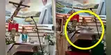 TRAGEDIA EN LA IGLESIA | Sacerdote pierde la vida en plena misa al caerle una cruz y sus últimas palabras impactan a feligreses: "Vamos a morir..."