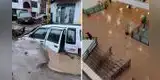 Lluvias torrenciales en Arequipa: desborde de quebradas inundan Terminal Terrestre y urbanizaciones