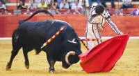 Madrid, Valencia, Castellón, Mauricia, Arnedo han cancelado cerca de 21 corridas de toros.