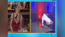 Antonio Pavón intentó ser sexy en 'Espectáculos', pero todo le salió mal [VIDEO]