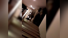 Elefante se cuela en lujoso hotel y video tiene millones de reproducciones [VIDEO]