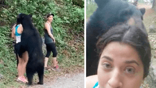 México: Castran a oso con el que una joven se tomó un selfie [VIDEO]