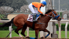 Falleció jinete peruano Juan Eugenio Enríquez tras caer de su caballo [VIDEO]