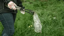 Día Libre de Bolsas de Plástico: 4 formas de disminuir la contaminación