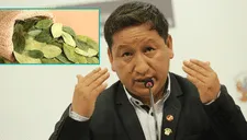 Guido Bellido presentó proyecto de ley para que la hoja de coca sea patrimonio cultural