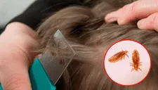 ¿Qué significa soñar con piojos en la cabeza de mi hija?