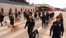 Desfile Militar: Unidad Canina de la Policía Nacional del Perú se hace presente [VIDEO]