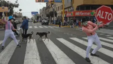 Capacitan a más de 14 mil peatones en seguridad vial en el Callao