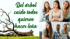 Qué significa el refrán “Del árbol, todos hacen leña”