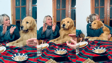 ¿Qué le pasó? Perrito hace paso misterioso al emocionarse por su happy birthday