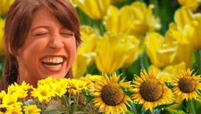 Floricienta: ¿Qué significa la canción viral por la que se regalan flores amarillas?