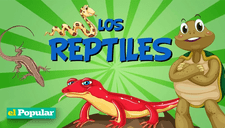 Explora las sorprendentes características de los reptiles y su diversidad en el mundo animal