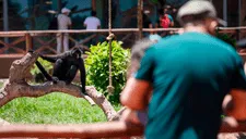 El Día Internacional de la Tierra: Fotografía lo mejor de la flora, fauna  y monumentos del Parque de las Leyendas