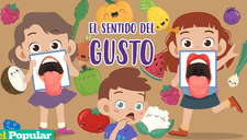 El sentido del gusto al descubierto: Aprende sobre sus partes y cómo influyen en nuestra experiencia