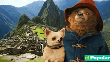 Paddington 3 se grabó en la llaqta de Machu Picchu ¡Otra película de Hollywood en Perú!