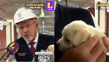 Carlos Bruce, alcalde de Surco, es vomitado EN VIVO por cachorrito: "Esas cosas pasan con los bebés"