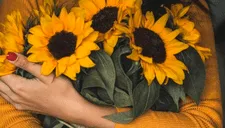 ¿Por qué se regalan flores amarillas cada 21 de septiembre? Encuentra AQUÍ el significado y frases