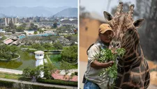 Nuevo Parque de las Leyendas de Huachipa: ¿Cómo llegar y cuáles son los precios de las entradas?