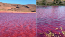 Río Nilo cubierto de un color rojizo en sus aguas era la laguna Roja en Chile