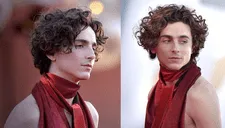 Timothée Chalamet se corona como el hombre más bello del mundo