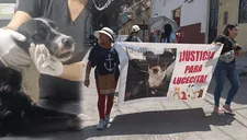 Moquegua: niños colocan pirotécnico encendido en boca de perrita y le causan graves lesiones