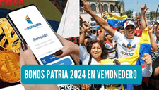 Guía completa para descargar veMonedero y recibir los bonos Patria 2024